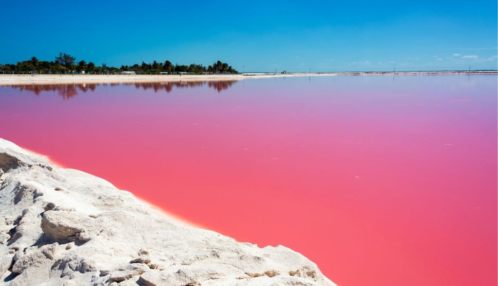 Pink Lakes of Las Coloradas